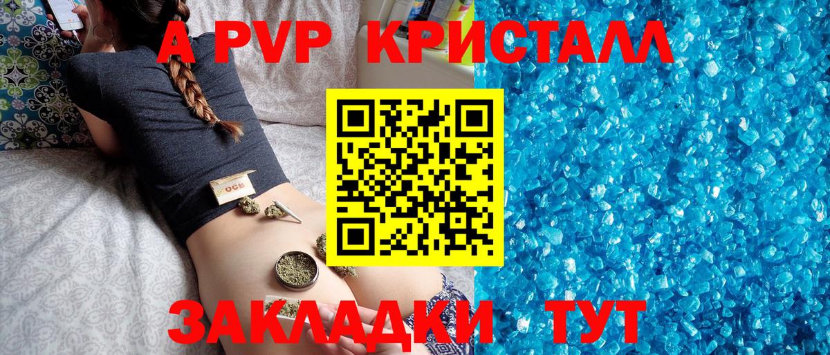 А ПВП крисы CK  Вход с VPN  Альфа ПВП СК  Звенигород 