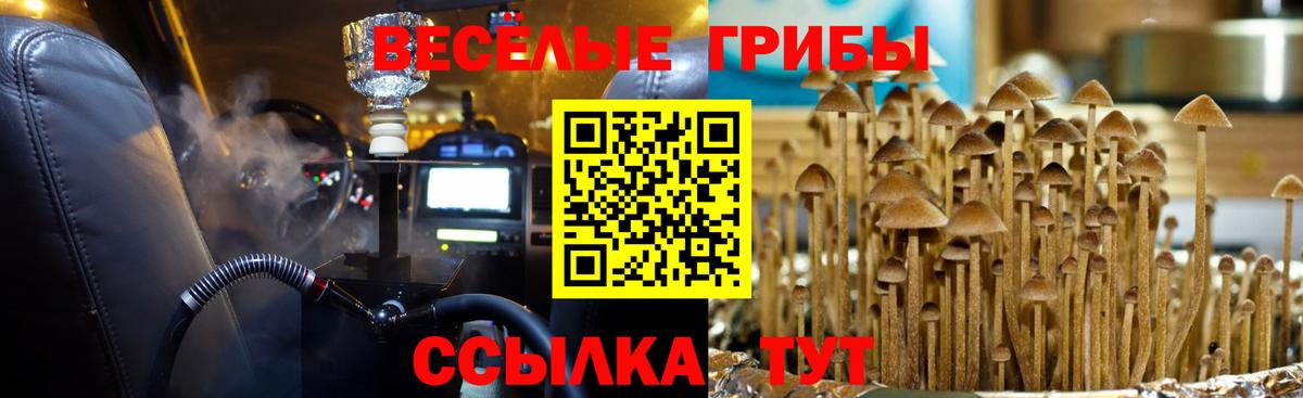 Псилоцибиновые грибы Magic Shrooms Звенигород