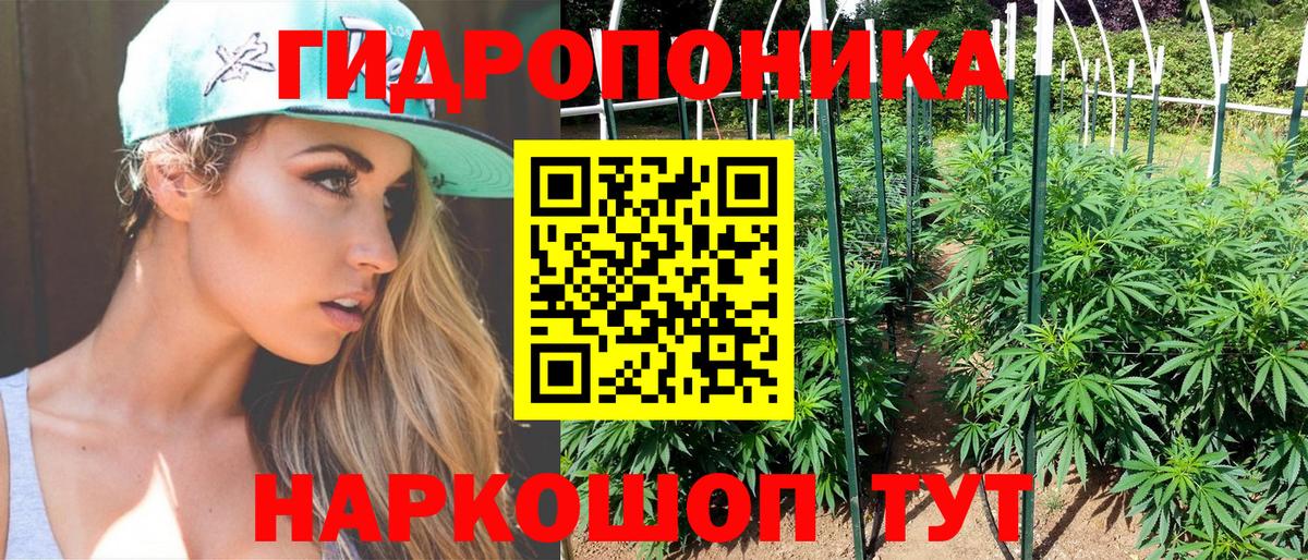 Канабис Bruce Banner  Конопля SATIVA & INDICA  Вход с VPN  Бошки Шишки Bruce Banner  Звенигород 